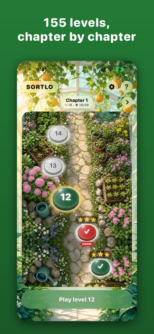 The level map
