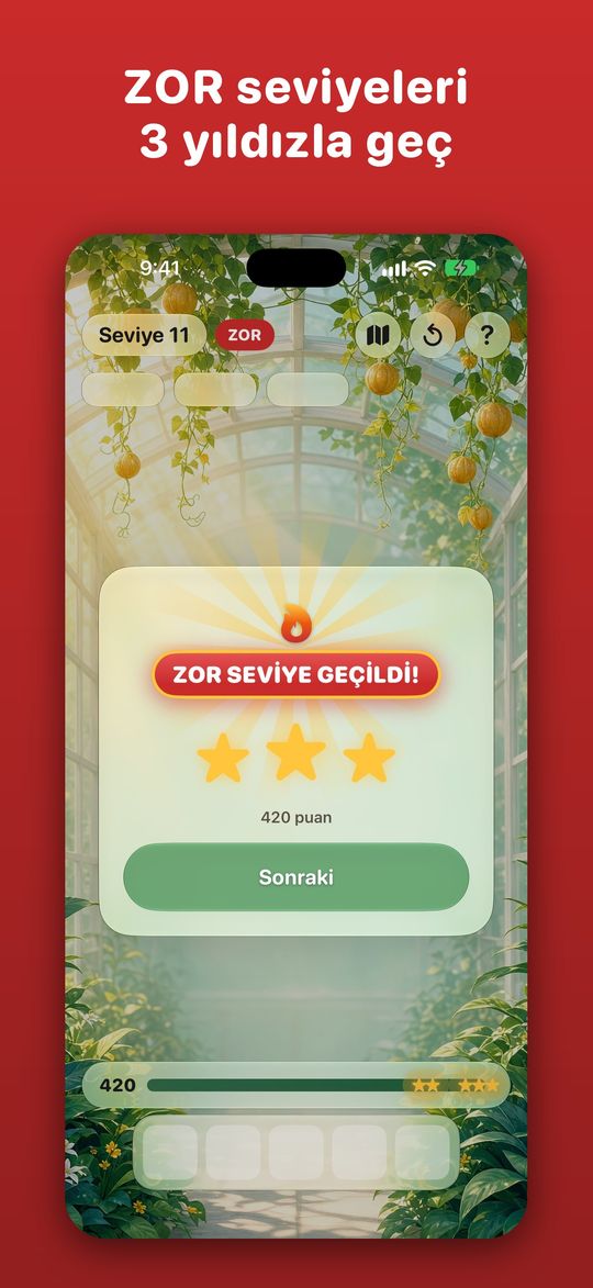 Bir ZOR seviye